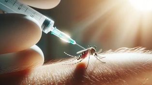Santa Fe compró 160 mil dosis de vacunas contra el dengue y prevé multiplicar la producción de repelente