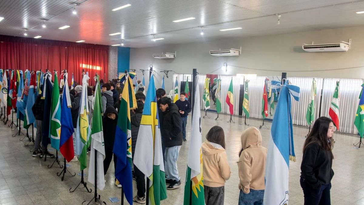 Más de 30 propuestas ya compiten para convertirse en la bandera que identifique al departamento San Martín