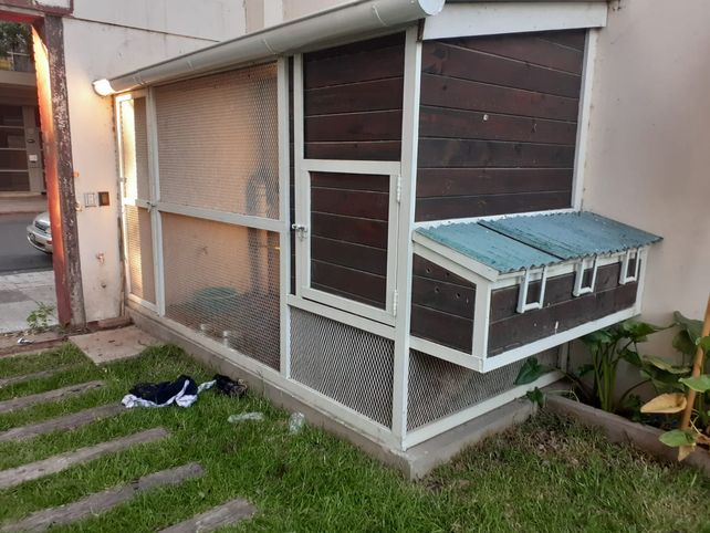 Los ladrones fueron atrapados por la policía en los techos de la vivienda.