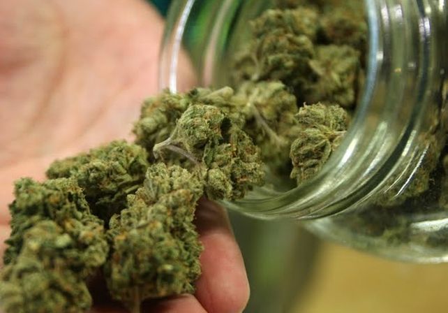 La marihuana puede ayudar a curar los huesos tras una fractura y los hace más resistentes
