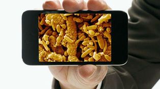Estudio revela que la pantalla de un móvil contiene 30 veces más bacterias que un inodoro