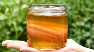 La kombucha es una bebida a base de té fermentado