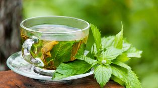 El té verde reduce la obesidad y los factores inflamatorios