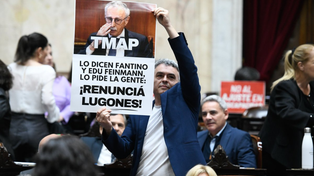 El diputado Esteban Paulón junto al cartel para Lugones&nbsp;