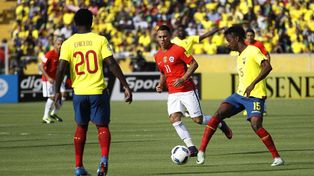 Chile y Ecuador comparten las mismas necesidades