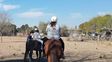 Roban cinco caballos y todas las herramientas de un centro de equinoterapia