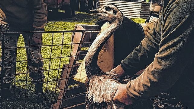 Viven 300 ejemplares en el santuario de animales de Colón