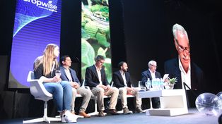 Cazadores de carbono: el nuevo negocio del agro