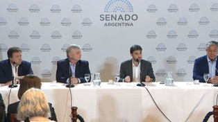 La rebelión de la Patagonia y el DNU que pende de un hilo en el Senado