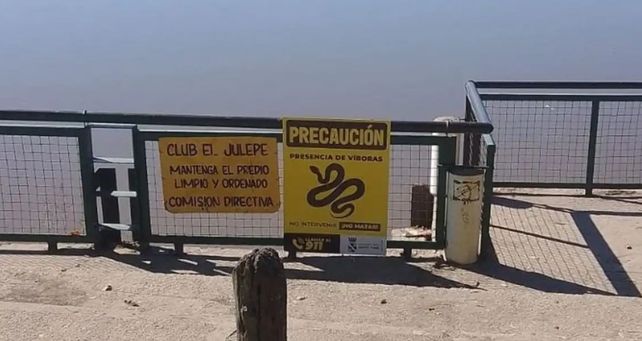 Un experto explica por qué aparecen serpientes en la costanera de Santo Tomé y qué hacer al encontrarlas