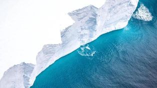 Se separó de la Antártida un iceberg que mide 24 veces la superficie de Rosario