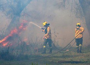 Bomberos Voluntarios: presentan proyecto para respaldar sus reclamos
