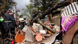 Cayó un árbol sobre dos casas humildes en Villa Banana: dos niños hospitalizados