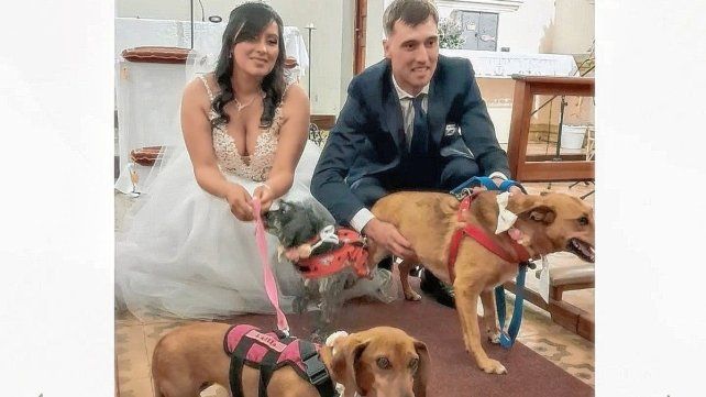 Se casaron con sus mascotas en la iglesia.