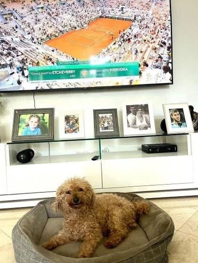 Tomás Etcheverry, la esperanza argentina en Roland Garros: la pérdida de su hermana, Djokovic y su mascota