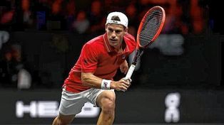 Diego Schwartzman fue el protagonista de una dura derrota.