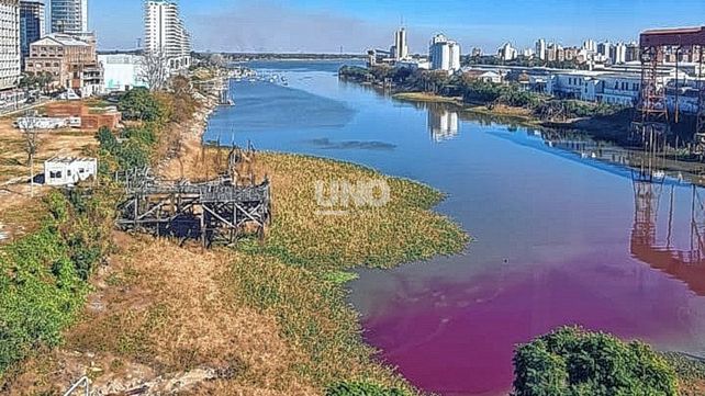 Una mancha violeta tiñó la cabecera del Dique 2 del puerto de Santa Fe.&nbsp;