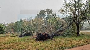 Fuerte tormenta afectó a Jubileo