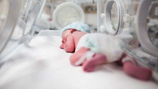 Desarrollan una placenta artificial para salvar la vida de los bebés prematuros