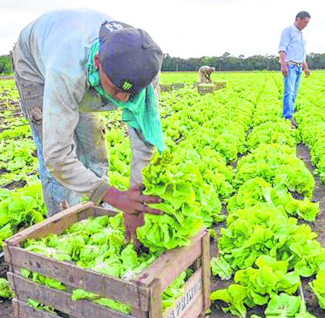 La producción agroecológica permite superar los&nbsp;conflictos en la zona fronteriza entre lo urbano y lo rural