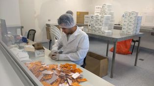 Santa Fe suministra medicamentos contra la diabetes y cáncer