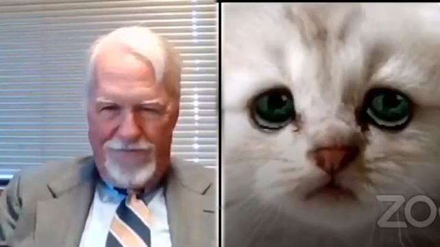 Durante una audiencia virtual, un abogado activó un filtro y se convirtió en gato