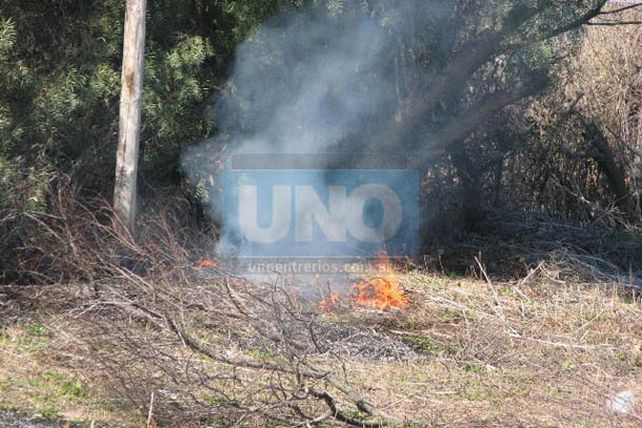 Al menos 15 salidas de los bomberos