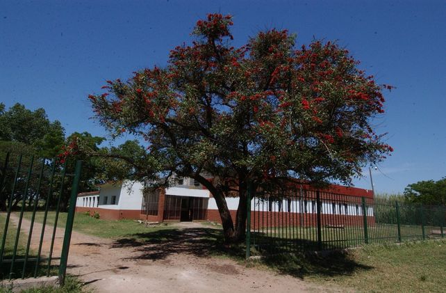 Escuelas fumigadas: el Conicet hará un estudio inédito sobre contaminación ambiental