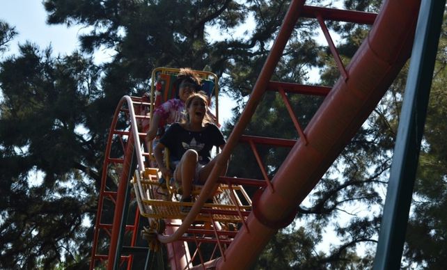 Un abuelo le fabricó en el jardín de su casa una montaña rusa a sus nietos.&nbsp; 