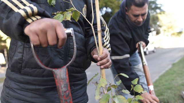 Trabajos de iluminación y bacheo previstos para este miércoles