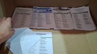 La boleta de Luciani. Según establece el reclamo presentado, la Junta había determinado que todas las boletas debían ser impresas exclusivamente en blanco y negro, a fin de garantizar igualdad visual entre los participantes.
