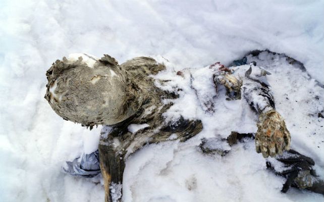 Momia. La cabeza y una mano emergen de la nieve. Las condiciones impiden mover los restos sin que se desintegren.