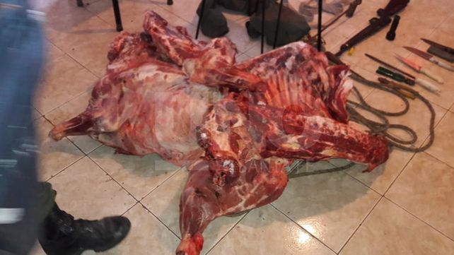 Secuestraron en Buenos Aires una tonelada de carne vacuna robada en Santa Fe