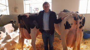 José Bahillo con las vacas campeonas