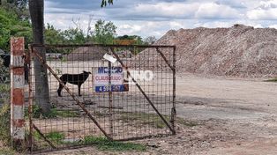 Escándalo ambiental en la isla Sirgadero: tras violar una clausura, la Justicia allanó un predio por relleno ilegal y posible contaminación