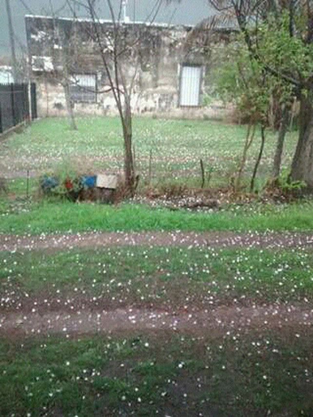 Granizada. La pedrada quedó esparcida en los terrenos de Alcaraz.&nbsp;