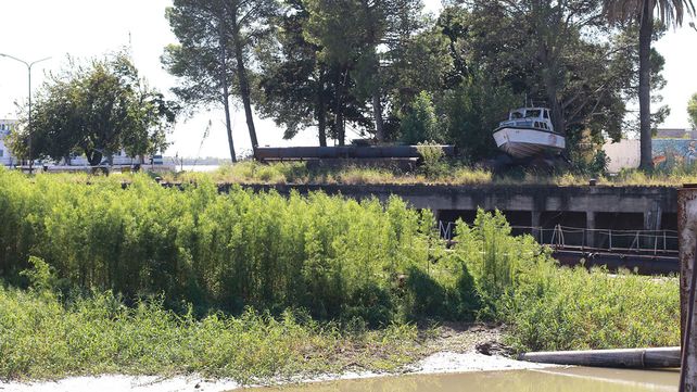 Bajante histórica del río Paraná / Fotos Juan Ignacio Pereira