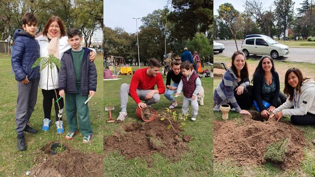 La idea de un artista se replicó en Paraná para equilibrar la tragedia amazónica