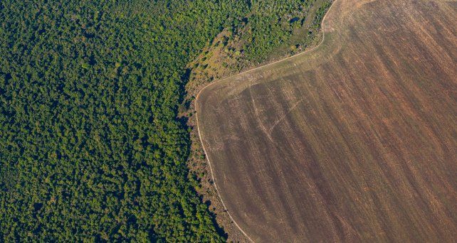 La deforestación en la Amazonia brasileña batió un nuevo récord. Un monitoreo satelital detectó 209 kilómetros cuadrados de bosques destruidos en Brasil