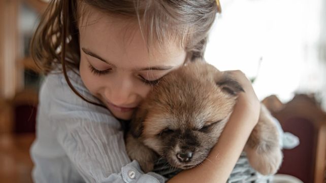 Día del Animal: La fecha tiene que ver con el fallecimiento