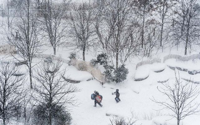 Imágenes de la histórica nevada en Nueva York