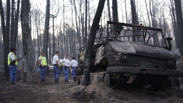 Aseguran que está controlado el voraz incendio en los bosques de Valeria del Mar