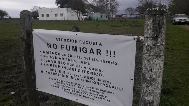Es un precedente que va a ayudar a los docentes de escuelas fumigadas en Argentina