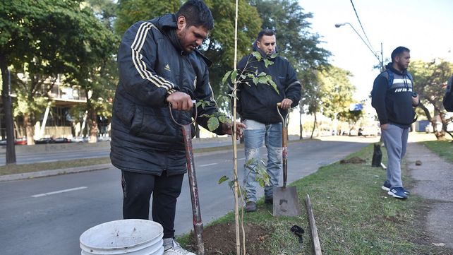 Trabajos de iluminación y bacheo previstos para este martes