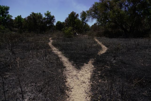 El paso de los incendios por la Isla de los Mástiles, en imágenes
