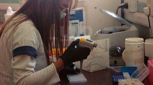 Un equipo trabaja en turnos de 16 horas para analizar los test por coronavirus.