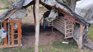 Contratista rural sometió a un trabajador a condiciones inhumanas, pagó $22 millones y evitó la cárcel