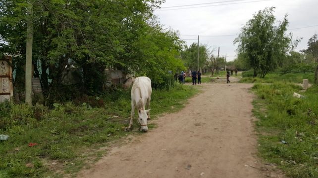 Intento de coima frustrado: Muchachos, ¿cuánto cuesta dejarme en libertad?, preguntó