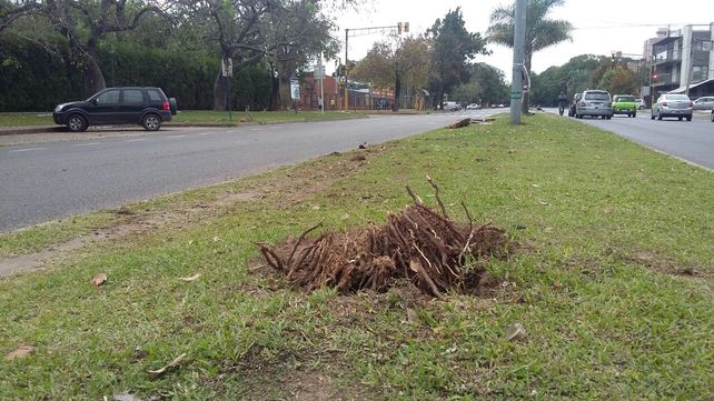 Un joven de 23 años murió en un accidente en la Costanera y Salvador del Carril