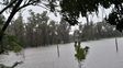 Más de 250 milímetros en el norte santafesino: La cantidad de agua superó la capacidad de drenaje, señalan desde Provincia